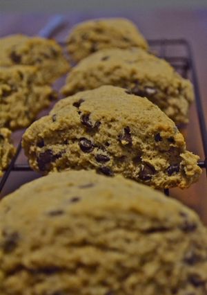 ★ウチのいつものチョコスコーン★-レシピのメイン写真