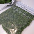 いつでも薬味万全♬シソの実 冷凍保存♬