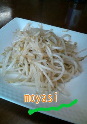 もう一品のもやし炒め!-レシピのメイン写真