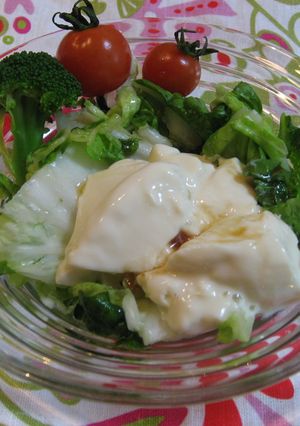 白菜と豆腐の青じそドレッシング仕立て-レシピのメイン写真