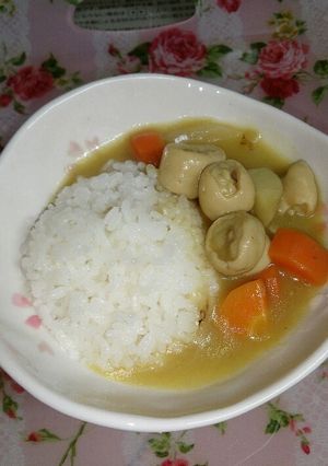 高圧力鍋で簡単ホルモンこどもカレー-レシピのメイン写真