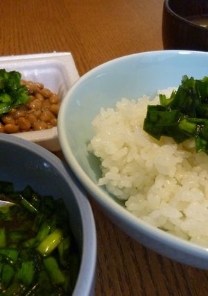 ご飯がすすむ☆五香粉で中華味のニラ漬け-レシピのメイン写真