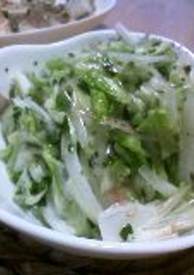 ヒラヒラ白菜とみょうがのわかめ和え-レシピのメイン写真