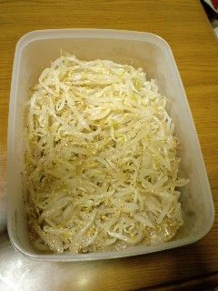 韓国風☆もやしナムル (^_-)-レシピのメイン写真