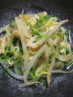 豆苗ともやしのごま風味お浸し-レシピのメイン写真