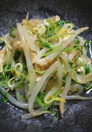 豆苗ともやしのごま風味お浸し-レシピのメイン写真