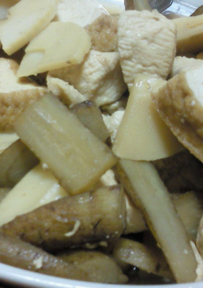 鶏肉とごぼうたけのこ厚揚げの煮物-レシピのメイン写真