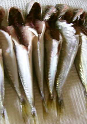 豆鯵の下処理-レシピのメイン写真