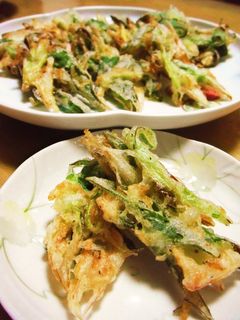 *ねぎと桜エビのかき揚げ*-レシピのメイン写真