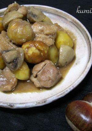 栗と鶏モモのコロコロ煮込み♪-レシピのメイン写真