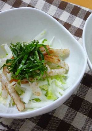 ちくわと白菜のサラダ-レシピのメイン写真