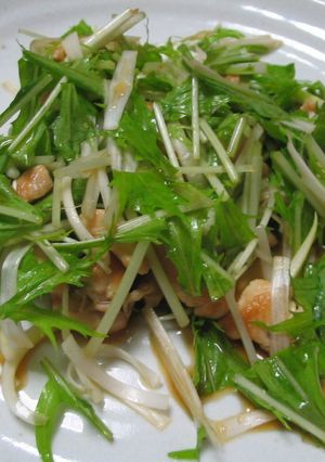 焼きたて鶏と水菜、しらがねぎのサラダ-レシピのメイン写真