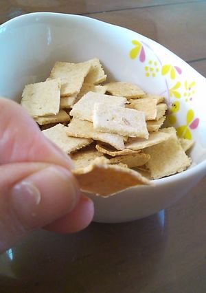 ノンフラワー♪中華味のおからクラッカー-レシピのメイン写真
