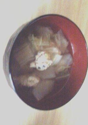 あったか冬瓜と鶏つみれのごった煮-レシピのメイン写真