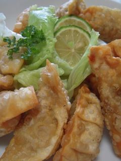 ちくわのカレー餃子-レシピのメイン写真