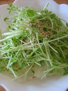 玉ねぎ&豆苗のサラダ-レシピのメイン写真