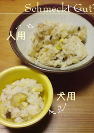 犬と一緒に栗ご飯-レシピのメイン写真
