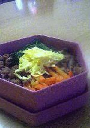 ビビンバ風弁当-レシピのメイン写真