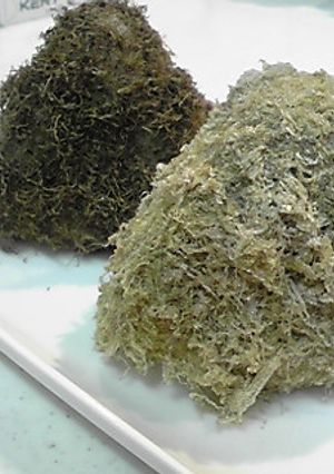 富山だね～！白とろろ･黒とろろおにぎり☆-レシピのメイン写真