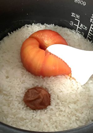 うめぇトマトごはん-レシピのメイン写真