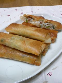 豚ともやしの春巻き-レシピのメイン写真