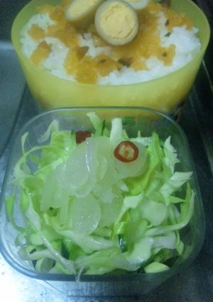 ｶﾚｰ専用!?さっぱりらっきょｻﾗﾀﾞ-レシピのメイン写真