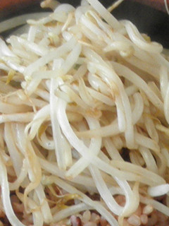 電子レンジでもやしのナンプラー沙茶醤炒め-レシピのメイン写真