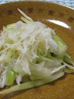 箸休めに✿セロリとさきいかあえ✿-レシピのメイン写真
