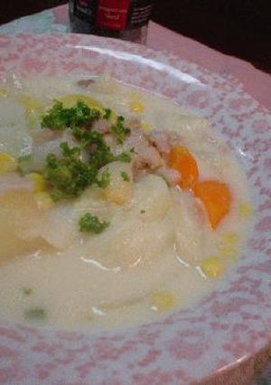 豚肉のシチューにはごぼうが合います-レシピのメイン写真