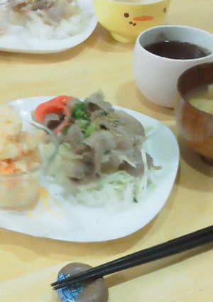 ネギ塩豚丼-レシピのメイン写真