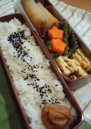 ☆塾前の子どもごはん１・春巻き弁当☆-レシピのメイン写真