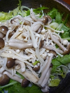 レンジで簡単!水菜ときのこのサラダ-レシピのメイン写真