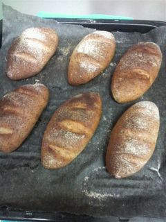 胚芽ソフトフランスパン-レシピのメイン写真