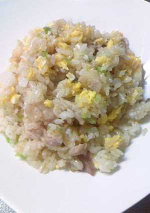 豚肉とねぎのシンプルチャーハン-レシピのメイン写真