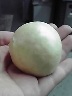 おいしいお饅頭-レシピのメイン写真
