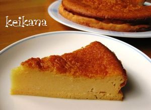 カルピスとＨＭで超簡単☆濃厚チーズケーキ-レシピのメイン写真