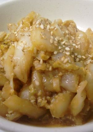 白菜で☆ごま味噌和え-レシピのメイン写真