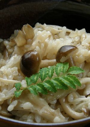 こんにゃくざんまい　きのこご飯-レシピのメイン写真