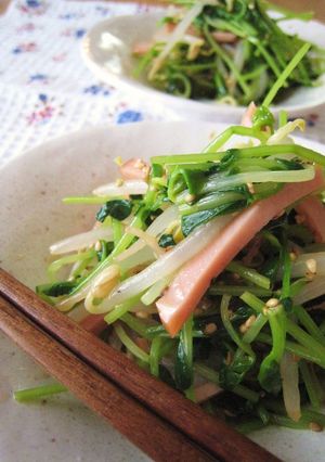 お助け１品♬豆苗ともやしのピリ辛中華和え-レシピのメイン写真