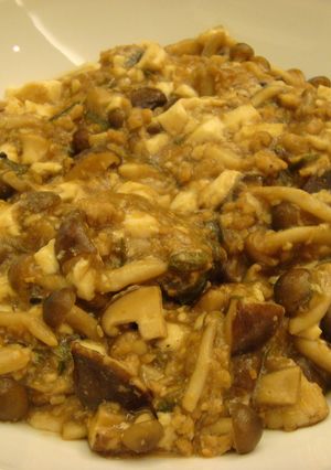 鶏ひき肉・豆腐・キノコのネギ生姜味噌炒め-レシピのメイン写真