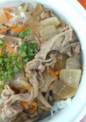 豚肉と玉ねぎの簡単丼-レシピのメイン写真
