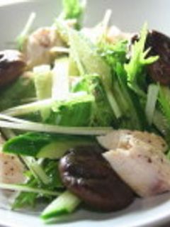 水菜と鶏肉のサラダ-レシピのメイン写真