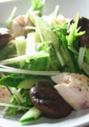 水菜と鶏肉のサラダ-レシピのメイン写真