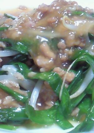 ﾆﾗ☆もやし☆豚ひき肉の中華炒め-レシピのメイン写真