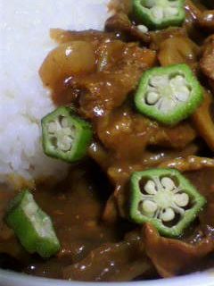 ☆和風カレー☆-レシピのメイン写真