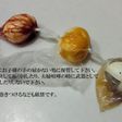 雨の日に、色んな漬け卵・作ろっ☆