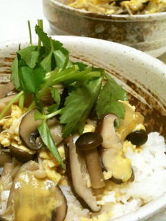 キノコの丼☆-レシピのメイン写真