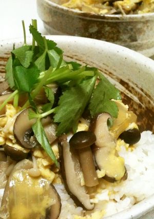 キノコの丼☆-レシピのメイン写真