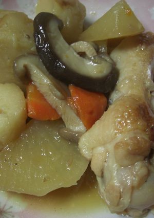 手羽元と根菜の煮物-レシピのメイン写真