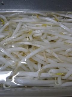 使いかけもやしの保存-レシピのメイン写真